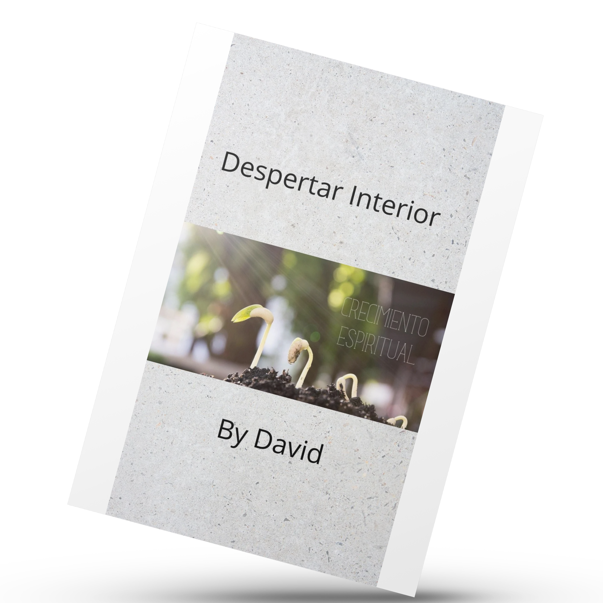 Despertar Interior David